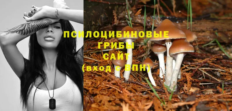 Галлюциногенные грибы Magic Shrooms  Лангепас 